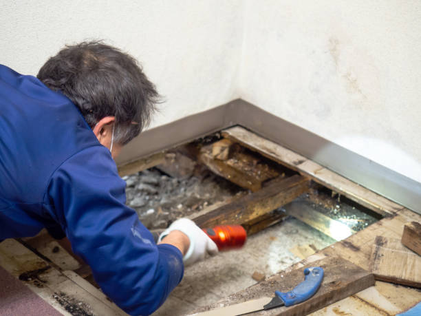 Best Bathroom Mold Remediation in Lafayette, IN