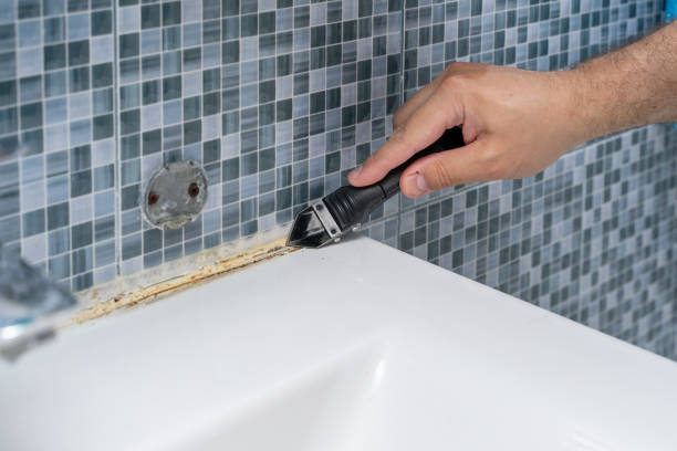 Best Post-Flood Mold Remediation in Lafayette, IN